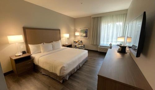 King Room with Mobility/Hearing Access and Roll-In Shower - Non-Smoking