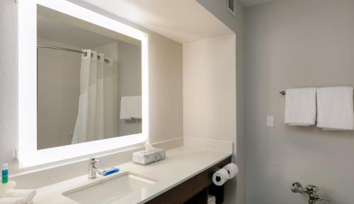 One-Bedroom King Suite