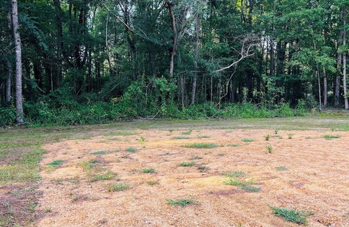 Grady RV Rental | Enjoy the peaceful country scenery and the serenity of being one with nature!