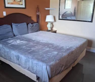 Baton Rouge Apartment | Gated - 1 King Bed 1 Bath Apt with Full Kitchen 107