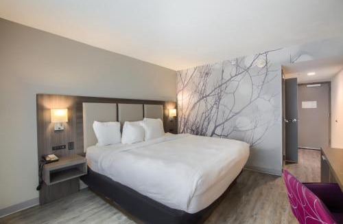 Mobile Hotel | La Quinta by Wyndham Mobile