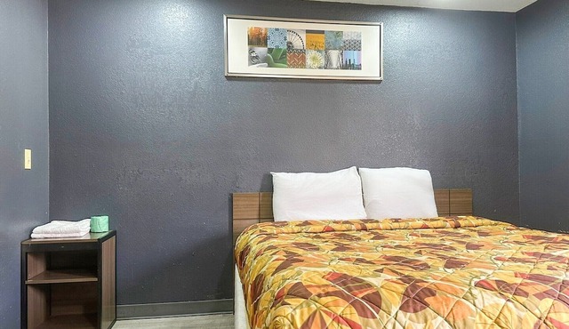 Cozy King Bed|Smoking|Jackson