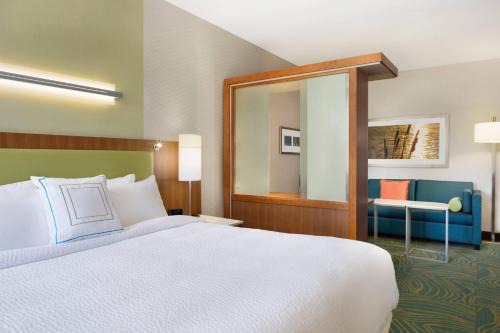 SpringHill Suites by Marriott Tuscaloosa