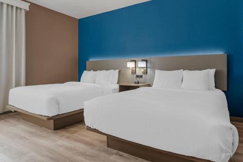 Comfort Suites 